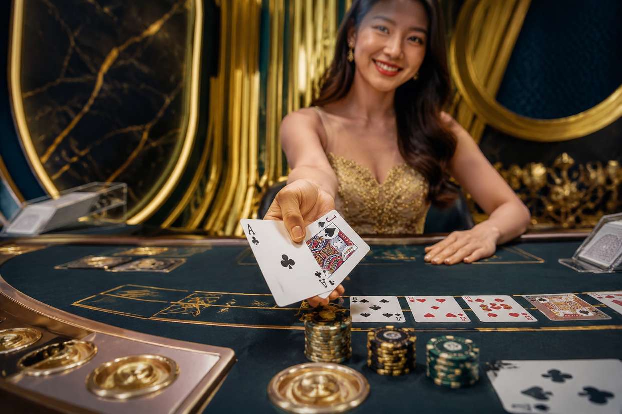 bingo365